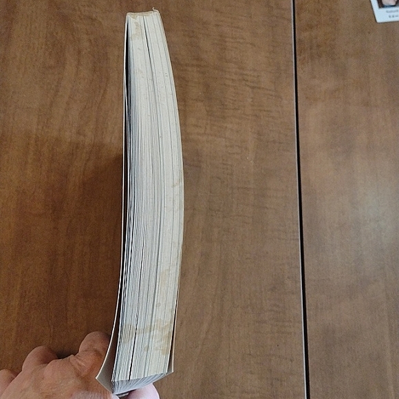 The Great Big Burger Book Jane Murphy & Liz Yeh Singh soft cover - Picture 7 of 8